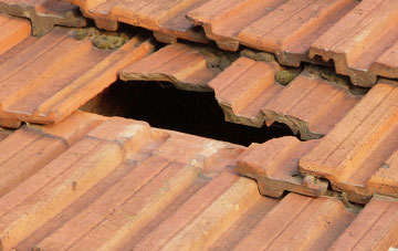 roof repair Upper Denton, Cumbria